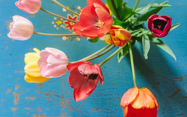 Goope（グーペ）の良い評判について